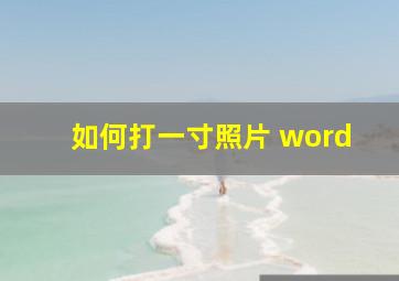 如何打一寸照片 word